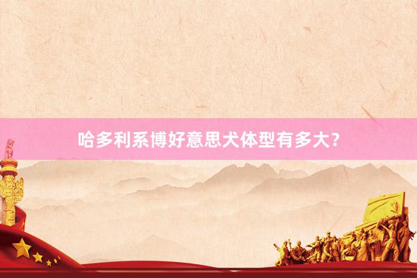 哈多利系博好意思犬体型有多大？
